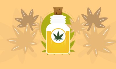 Cannabis Medicinal na Odontologia: Benefícios e Potenciais